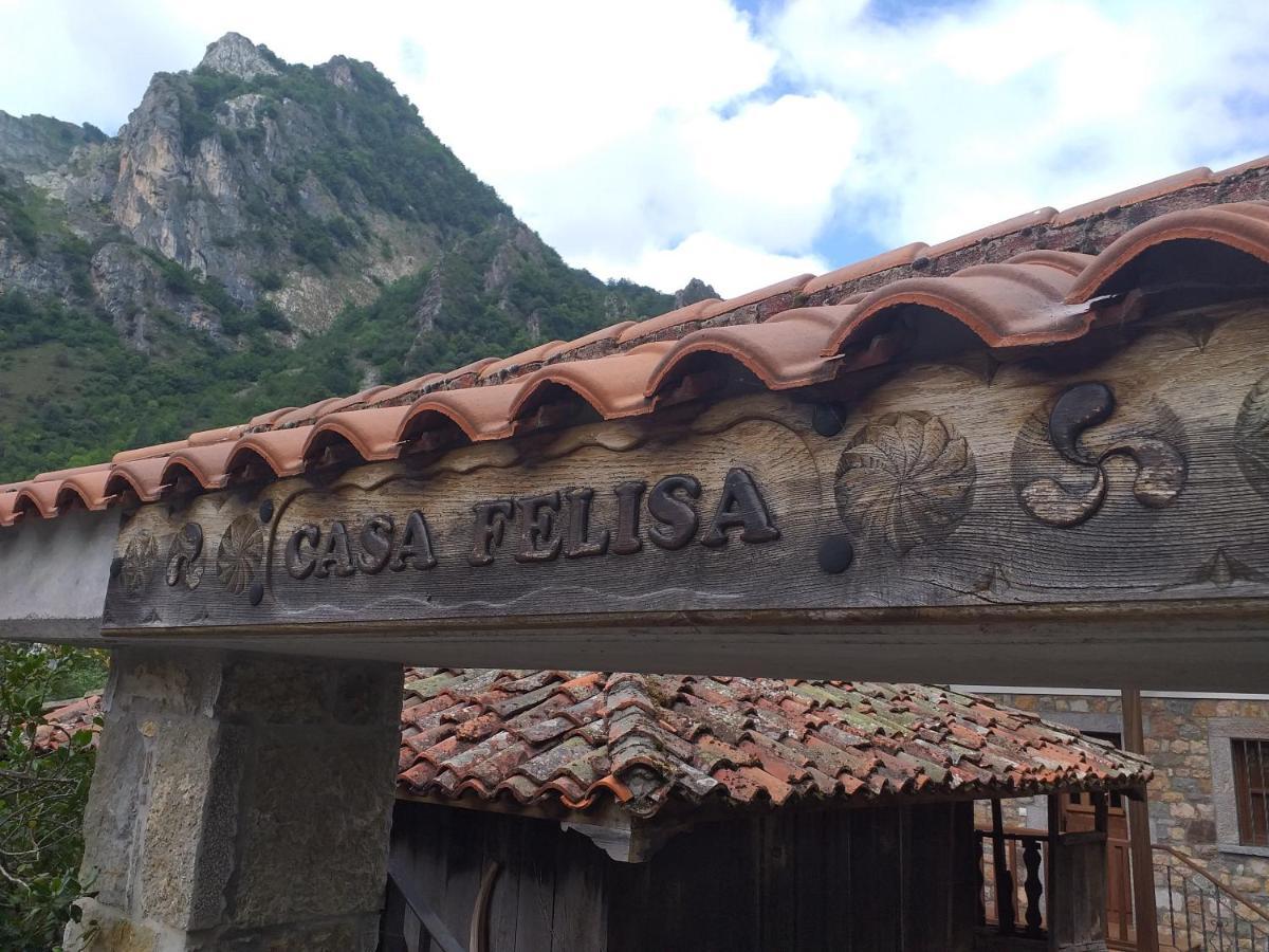 Apartmán Casa Felisa Pola de Somiedo Exteriér fotografie